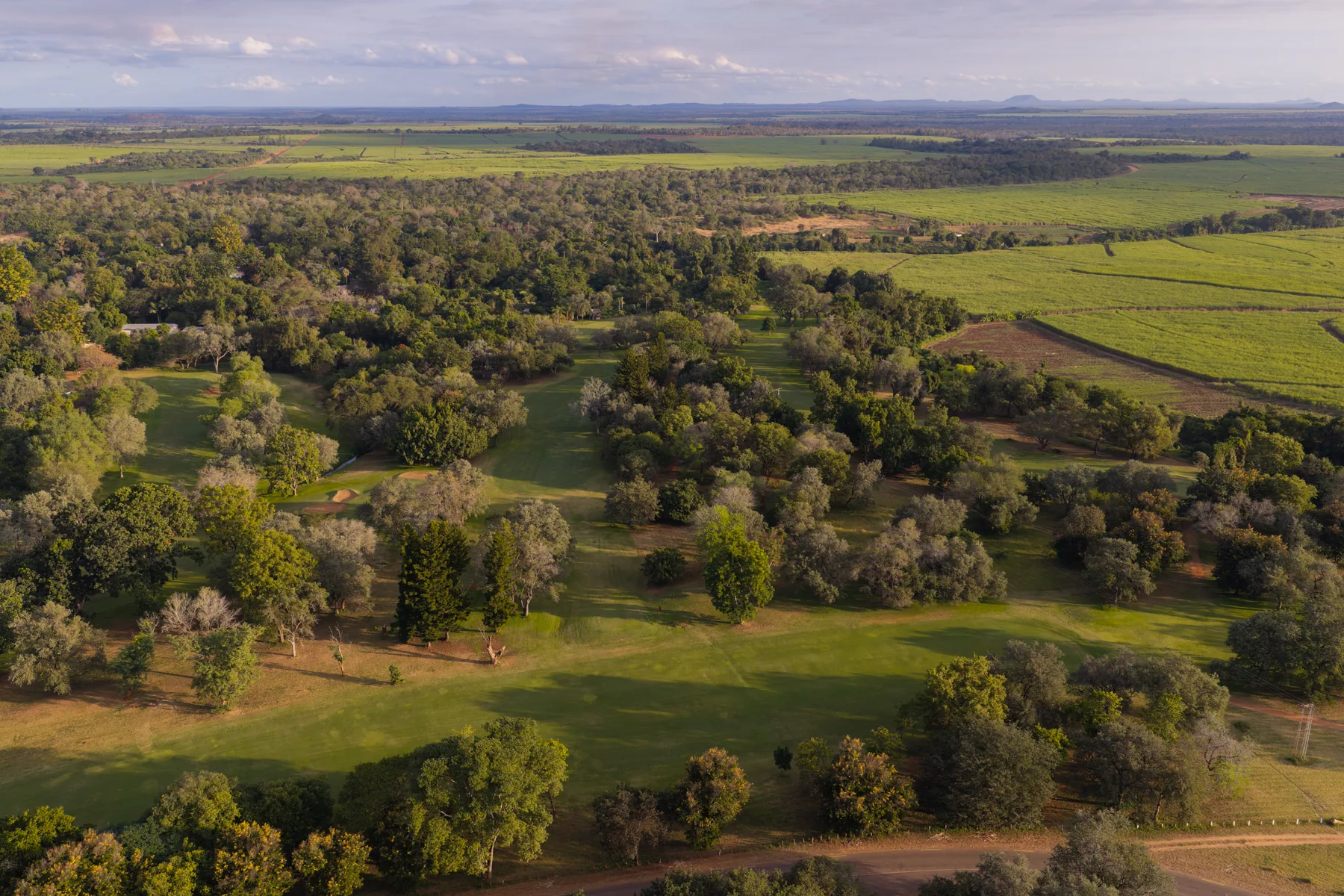 The estate and surrounding cane fields